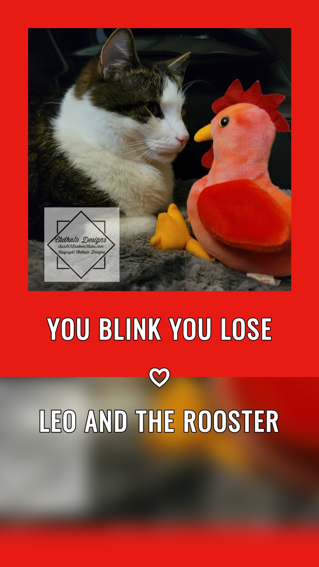 YOU blink You Lose ♡
Leo and the rooster
